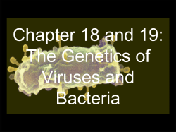 bacteria shedding DNA