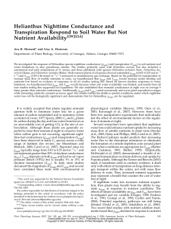 Helianthus Nighttime Conductance and