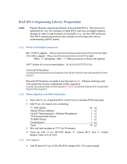 RiL-19 RNA adapter: /5Phos