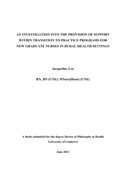 an investigation into the provision of support within transition to