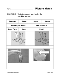 Photosynthesis is when plants use sunlight to make food