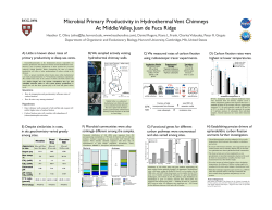 Microbial Primary Productivity in Hydrothermal Vent Chimneys At