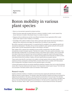 Boron mobility in various plant species