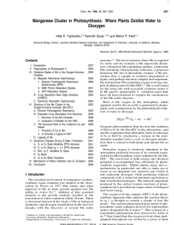 Manganese Cluster in Photosynthesis: Where Plants Oxidize