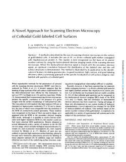 A Novel Approach for Scanning Electron Microscopy of Colloidal