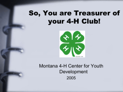 So, You are Treasurer of your 4