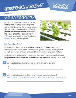 Hydroponic Systems Worksheet