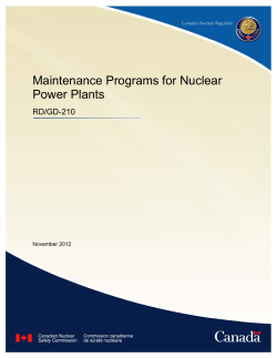 Maintenance Programs for Nuclear Power Plants