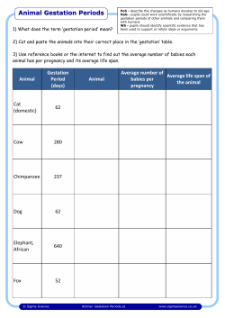 Animal Gestation Periods