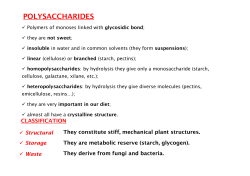POLYSACCHARIDES
