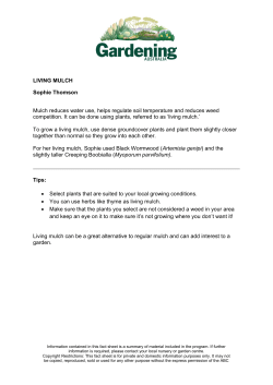 LIVING MULCH Sophie Thomson Mulch reduces water use
