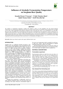 Influence of Alcoholic Fermentation Temperature on Sorghum Beer