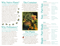 native plant brochure - pa audubon