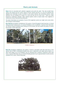 Common Plants and Animals found in wetlands