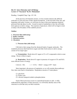 Bio 210 Cell Chemistry Lecture 8 &ldquo;Glycolysis&rdquo;