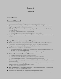 chapter 28 - Biolympiads