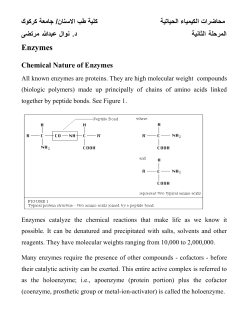 Specificity of Enzymes