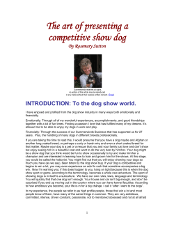 The art of presenting a competitive show dog