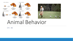 Animal Behavior