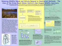 Figure 4. Comparison of TN Removal to Algal Nitrogen Produced in