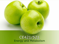 CE421/521