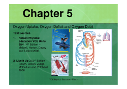 Oxygen Uptake, Oxygen Deficit and Oxygen Debit