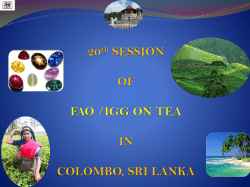 20th SESSION OF FAO /IGG ON TEA IN COLOMBO , SRI LANKA