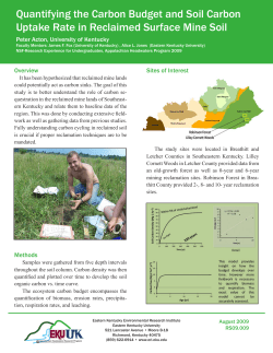 Quantifying the Carbon Budget and Soil Carbon Uptake Rate in