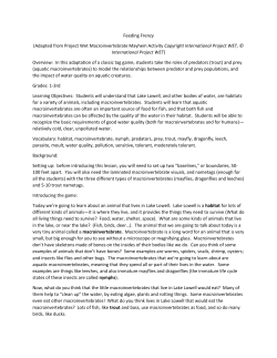 Feeding Frenzy (Adapted from Project Wet Macroinvertebrate