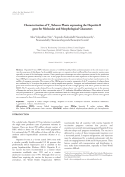 Characterization of T Tobacco Plants expressing the
