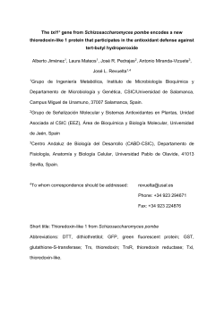 Thioredoxin-like 1 from Schizosaccharomyces pombe is involved in