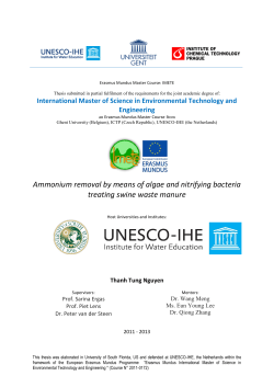 Nutrients Dynamics And Uptake/Remobilisation In Sediment