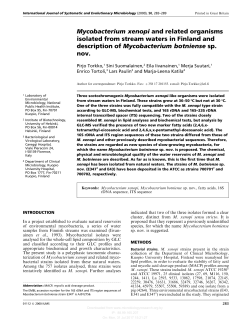 Mycobacterium xenopi and related organisms isolated from stream