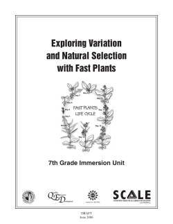 Exploring Variation and Natural Selection with Fast Plants