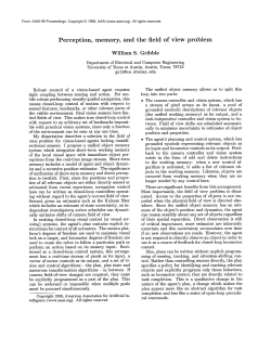 Perception, Memory, and the Field of View Problem