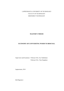 master`s thesis economy of converting wood to biocoal