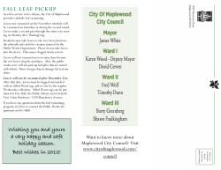 fall leaf pickup - City of Maplewood