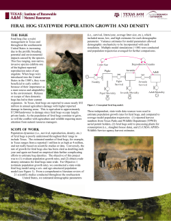 Feral Hog Statewide Population growth and Density, TAMU, Agrilife