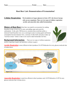 Root Beer Lab
