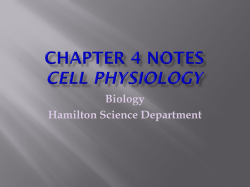 BIO CHAPTER 4 CELL PHYSIOLOGY