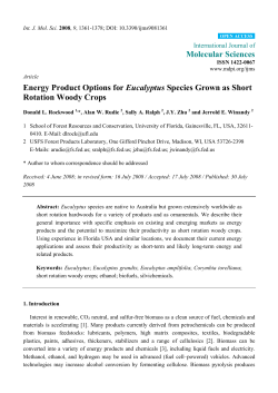 Energy Product Options for Eucalyptus Species Grown as Short