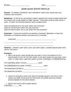 Sponge Capsule Scientific Method