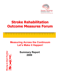 Stroke Rehabilitation Outcome Measures Forum