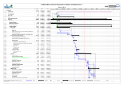 Microsoft Office Project - document(s)