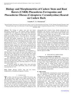 Biology and Morphometrics of Cashew Stem and Root Borers