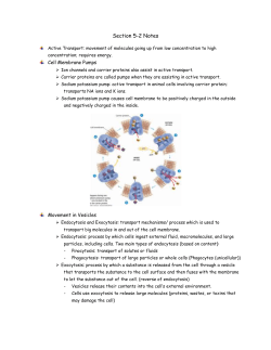 Section 5-2 Notes Active Transport: movement of molecules going