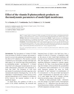 Effect of the vitamin D photosynthesis products on thermodynamic