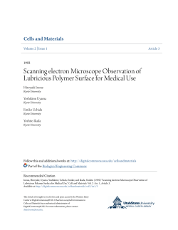 Scanning electron Microscope Observation of Lubricious Polymer
