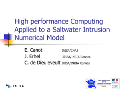 A parallel software for a saltwater intrusion problem