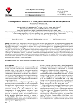 Inducing osmotic stress leads to better genetic